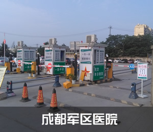 ���峵��ʶ��ϵͳ