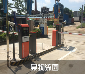 ���峵��ʶ��ϵͳ