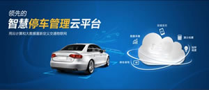 ���峵��ʶ��ϵͳ